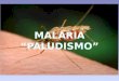 Disertacion Malaria