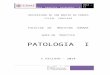 Patologia - i - 2014-Guia Practica