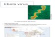 2014 Virus del Ebola - Una amenaza mundial?