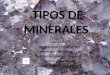Tipos de Minerales