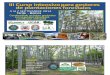 Promocion curso Plantaciones Forestales 2014 Tarija.pdf