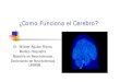 Cómo Funciona El Cerebro - Aguilar Rivera, William