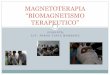 Magnetoterapia - Jorge Tapia Márquez.pdf