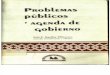 Problemas Publicos y Agenda de Gobierno 11