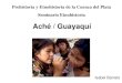 Ache Guayaquies