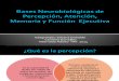 Bases Neurobiológicas de Percepción, Atención, Memoria