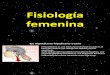 Fisiologia Sexual