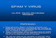 Virus y Spam