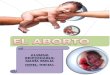 Monografia El Aborto
