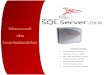 Manual de Instalacion SQL SERVER EXPRESS r2