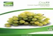 SQM-Crop Kit Grape L-ES
