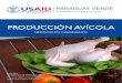 7. Produccion Avicola PARAGUAY