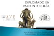 Diplomado Paleontología