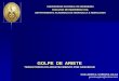Golpe de Ariete 2012_2 Para PDF