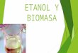 Etanol, Biomasa y Sustentabilidad