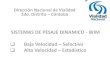 Sistema de Pesaje Dinamico_vialidad Argentina