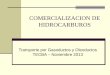 A.Industria del petróleo y Transporte de Hidrocarburos.pdf