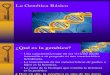 Clase Genetica Basica (2)
