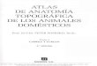 1) Popesko Peter - Atlas de Anatomia Topografica de Los Animales Domesticos T1[1]