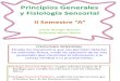 Principios Generales y Fisiologia Sensorial