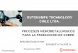Procesos Hidrometalurgicos (Ernesto Faure)