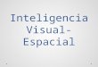 Inteligencia Visual Espacial