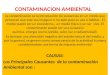CAUSAS Y CONSECUENCIAS DE LA CONTAMINACION.pptx