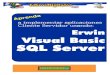 Visual Basic y SQL Server
