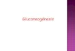 Esquemas Clase de Gluconeogenesis