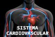 Sistema Cardio