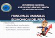 Principales Variables Economicas Del Perú