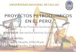 Diapositivas Proyecto Petroquimico
