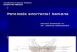 Pato Anorrectal Beningna