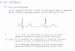 (4)Ciclo Cardiaco y Curvas de Presión Volumen 2010-2