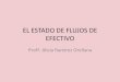 El EFE PGC2007 (1).pdf