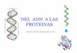 8. DEL ADN A LAS PROTEINAS-ARN.pdf