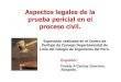 Aspectos Legales Pericial Proceso Civil