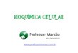 Bioqumica Celular - Composio Quimica Celular - 1 Ano