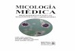 Generalidades micologia.pdf
