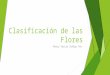 Clasificación de las Flores.pptx