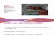 Rol de la Matrona en Neonatología2014.ppt