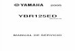 manual yamaha YBR 125