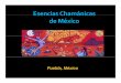 Esencias Chamanicas de Mexico