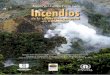 Incendios de La Cobertura Vegetal en Colombia Tomo I 2011