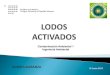 Lodos Activados1