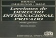 Lecciones de Derecho Internacional Privado - Biocca, Feldstein de Cárdenas y otros autores