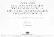 Popesko Peter - Atlas de Anatomia Topografica de Los Animales Domesticos Tomo II (SPG)