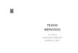 19 CLASE TEJIDO NERVIOSO [Modo de compatibilidad] (1).pdf