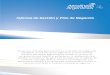 Informe de gestión y plan de negocios de Aerolíneas Argentinas y Austral