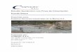 SIL Informe Estudio Geotécnico con fines de Cimentación - Puente Silaco Rev D